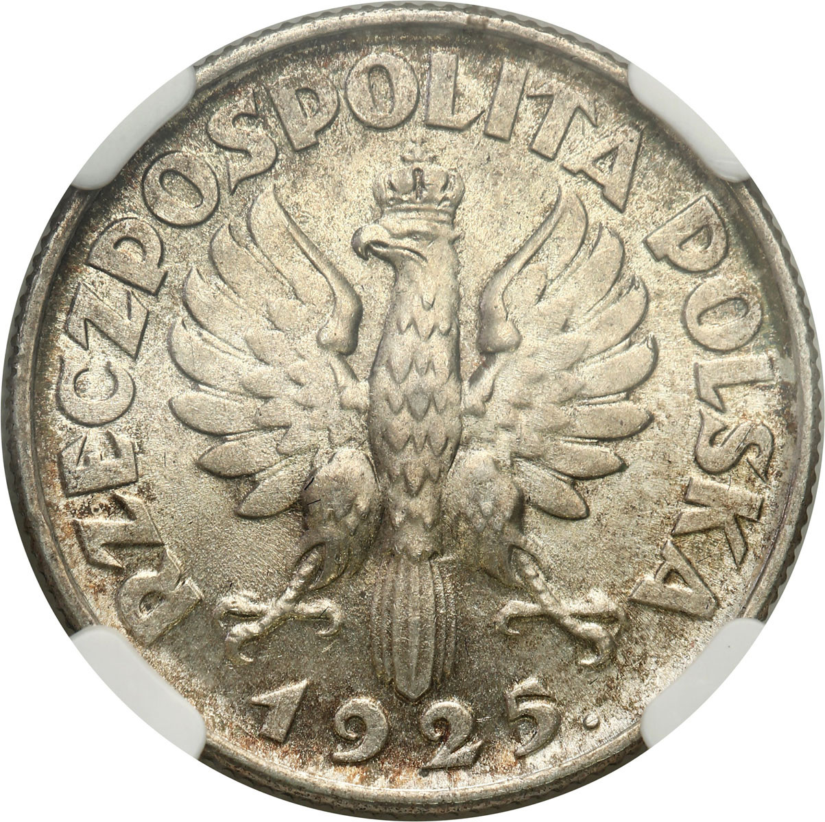II RP. 1 złoty 1925, Londyn, kropka po dacie NGC MS63 – PIĘKNE
